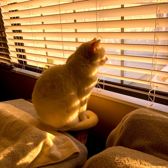 Meet your Posher, Julie - Picture 10 of 16